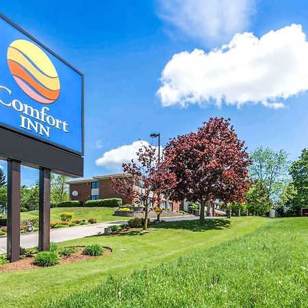 Comfort Inn Owen Sound Eksteriør bilde